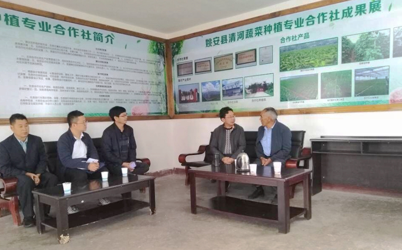 图片其版权均归原作者所有，未经许可严禁转载或建立镜像，如需转载，请与作者或本站联系